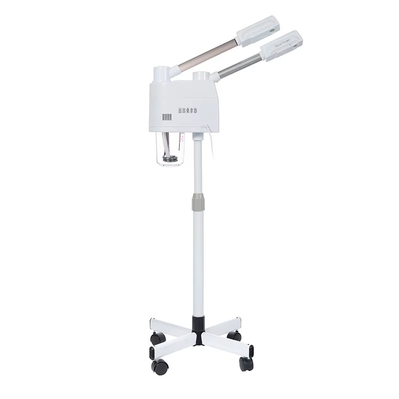White 2-in-1 Hot and Cold Face - Face Steamer 评论和价格